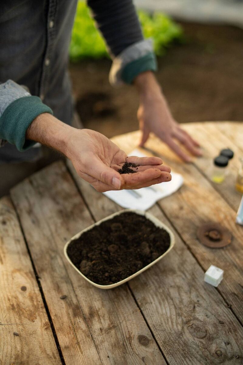 "By supporting Green Sod Ireland, you are contributing to the long-term protection of Ireland’s land and its biodiversity for all our sakes. Ensuring that our natural heritage is protected is critical to the food we eat, the air we breathe and the water we depend on for life. It is crucial to sustaining ALL life" — Green Sod Ireland "By supporting Green Sod Ireland, you are contributing to the long-term protection of Ireland’s land and its biodiversity for all our sakes. Ensuring that our natural heritage is protected is critical to the food we eat, the air we breathe and the water we depend on for life. It is crucial to sustaining ALL life" — Green Sod Ireland