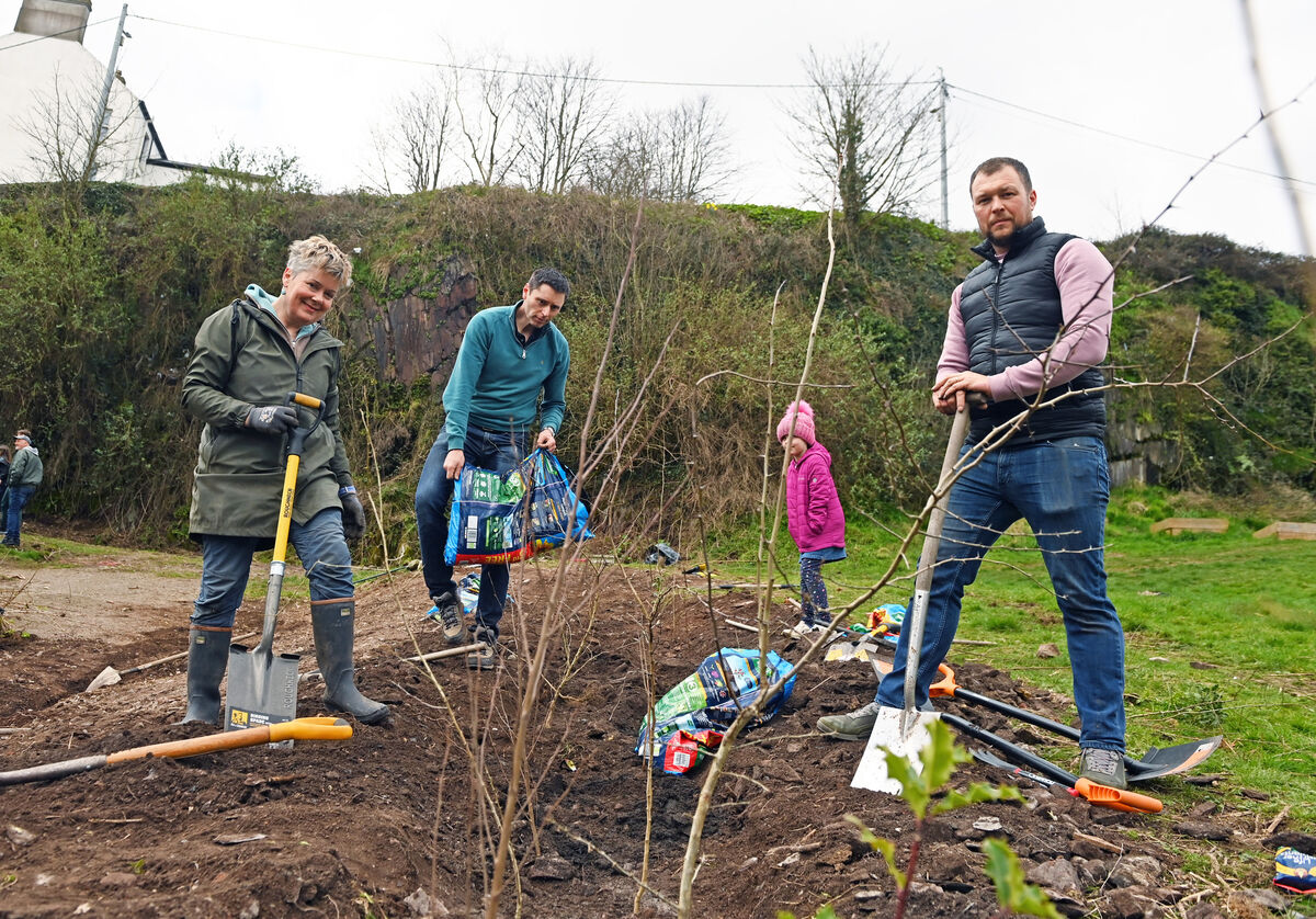 Residents planting the community garden at the old quarry, St Lukes Picture: Eddie O'Hare
