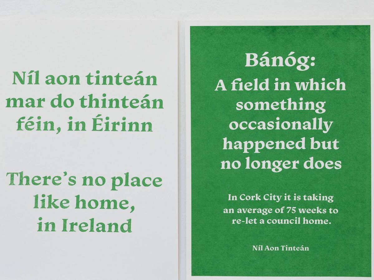 Some of the work by Andrea Newman at the Lavit: 'In Cork City, it is taking an average of 75 weeks to re-let a council home.' Some of the work by Andrea Newman at the Lavit: 'In Cork City, it is taking an average of 75 weeks to re-let a council home.'