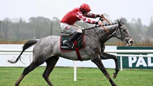 <p>EXCITING PROSPECT: Caldwell Potter was a Grade One winner for Gordon Elliott and Jack Kennedy at Leopardstown at Christmas. 	Picture: Healy Racing</p>