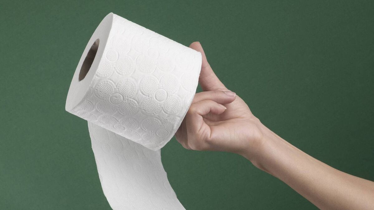 Julie Jay: My refusal to replace the toilet roll at home is a gender equality issue - Vimarsana News