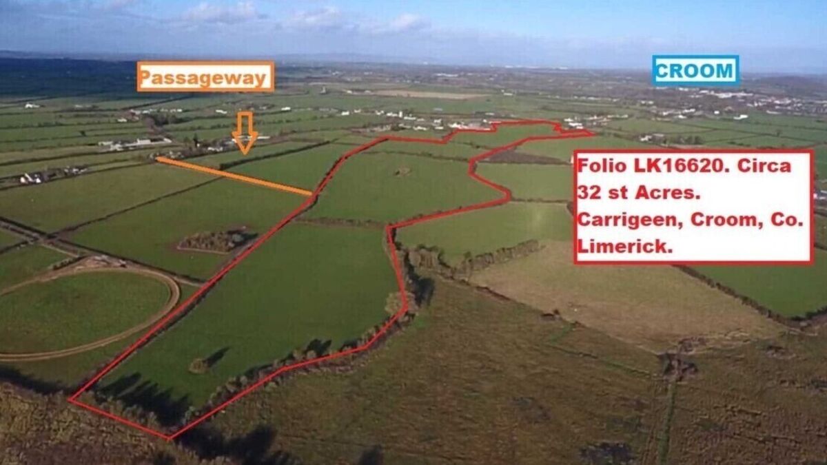 €14k an acre guide on 32-acre Limerick farm coming for auction - Vimarsana News