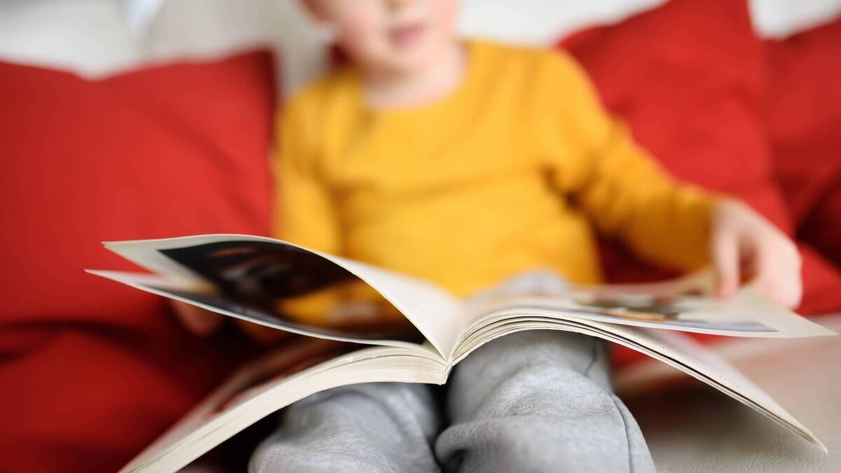 Children's book reviews: 12 books for February with Children's Book Ireland - Vimarsana News