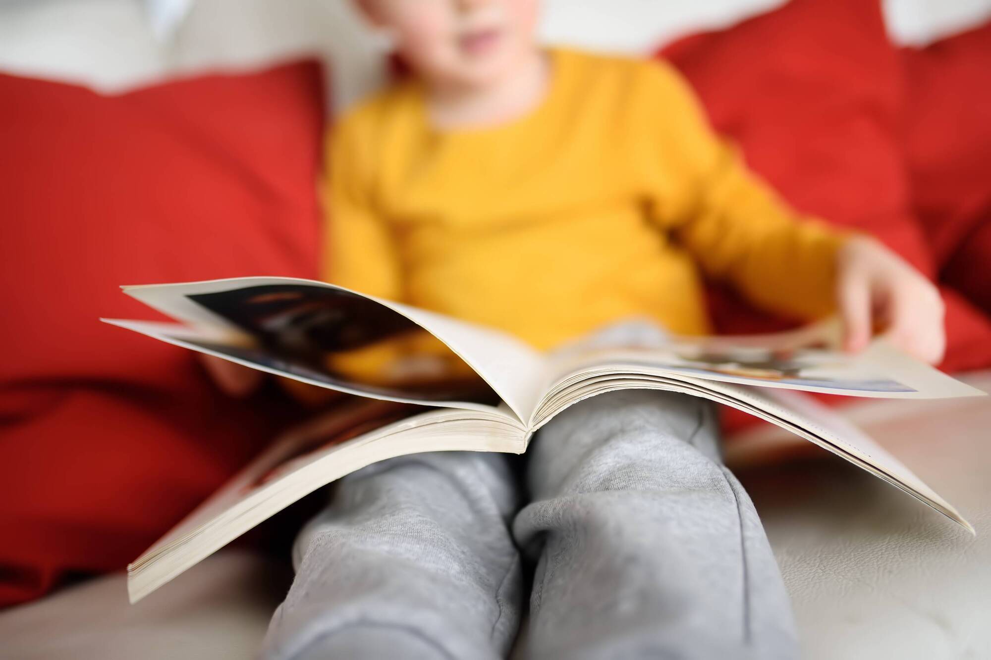 Children's book reviews: 12 books for February with Children's Book Ireland