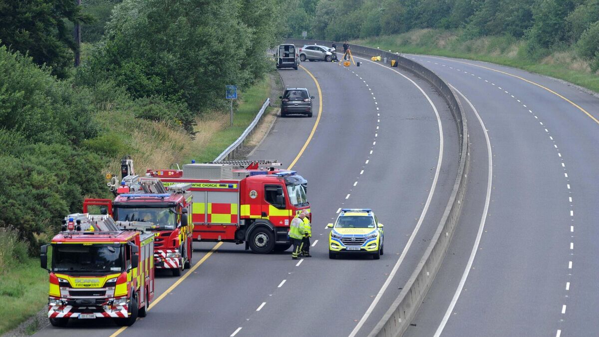 Cork woman says it is a miracle she didn't die in fatal M8 collision - Vimarsana News