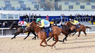 <p>Hero Of The Hour &amp; Chris Hayes (far side) win the Dundalk Stadium Handicap from Tynamite (Near Side) 12 months ago. Picture: Healy Racing</p>