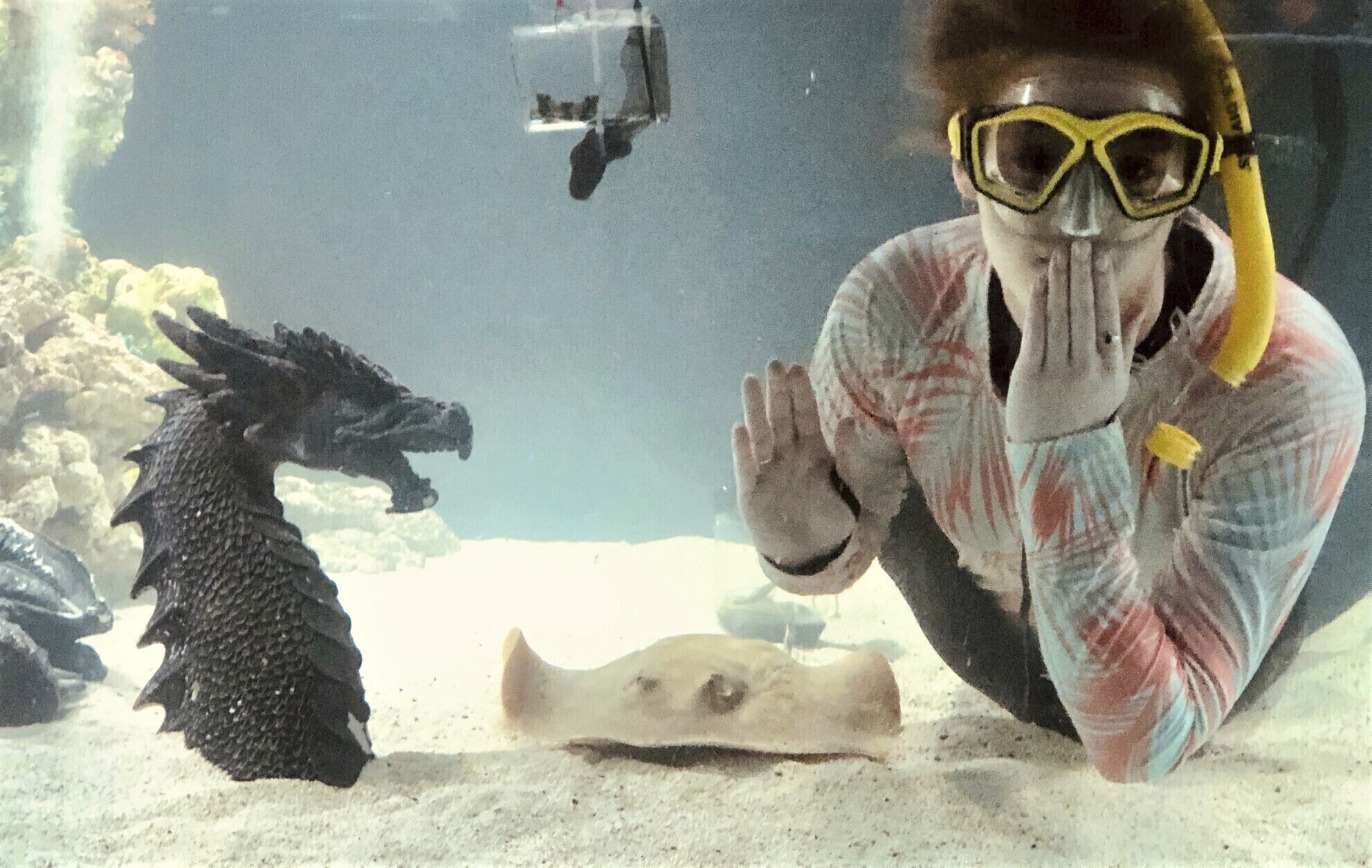 Stingray pregnant despite not sharing tank with a male for at least eight years