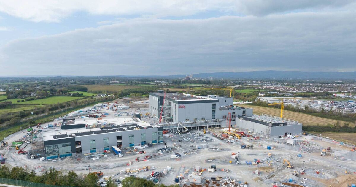 Building a Lilly Limerick legacy Eli Lilly & Co, strong links