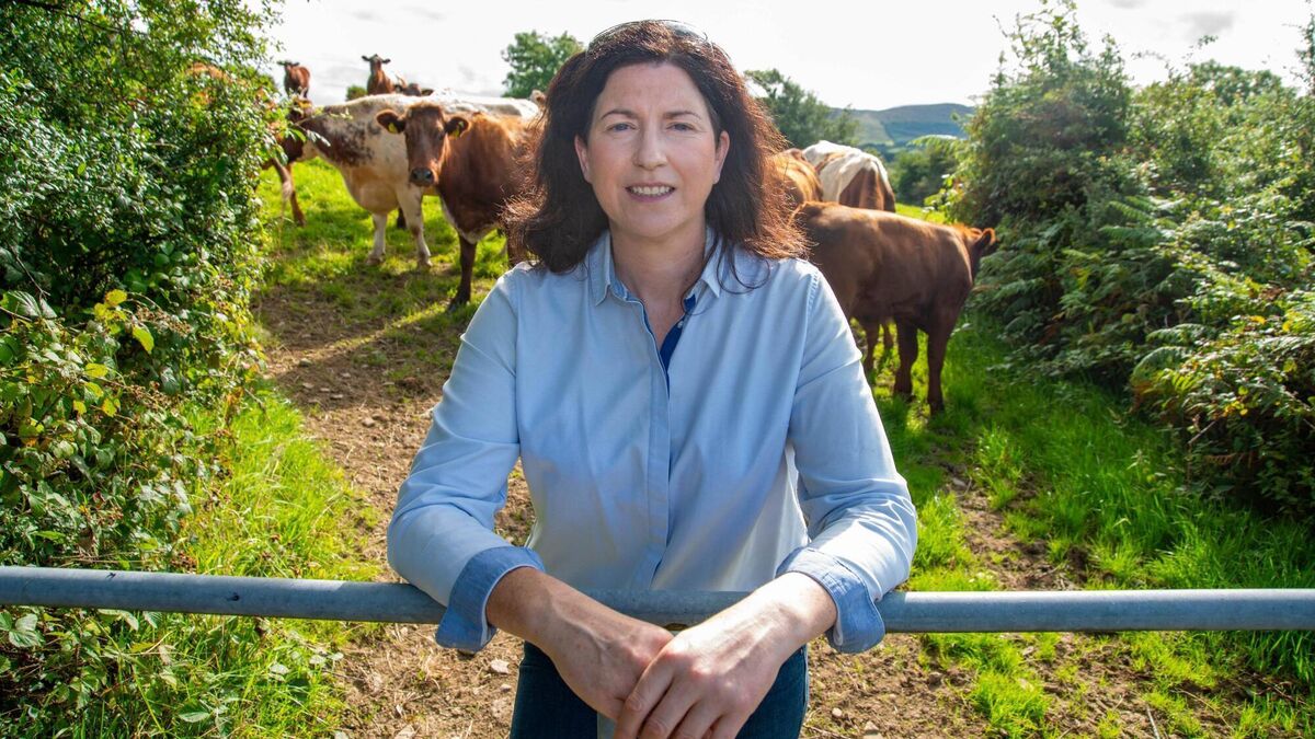 Helen O'Sullivan: Tireless work and roadblocks, but it just wasn't working for Farmers' Alliance - Vimarsana News
