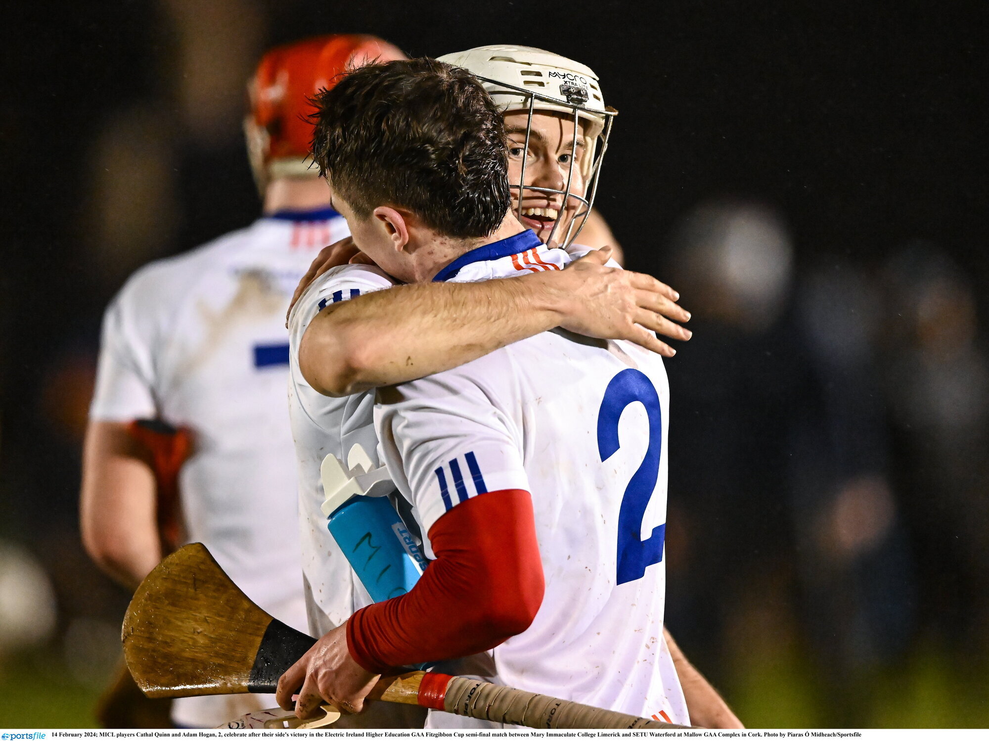 Recovery key for Mary I's Fitzgibbon hunters 
