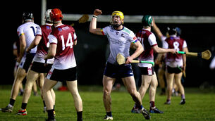 <p>WINNING FEELING: UL Wolves’ Killian Sampson celebrates scoring the winning point. Pic: Ryan Byrne</p>