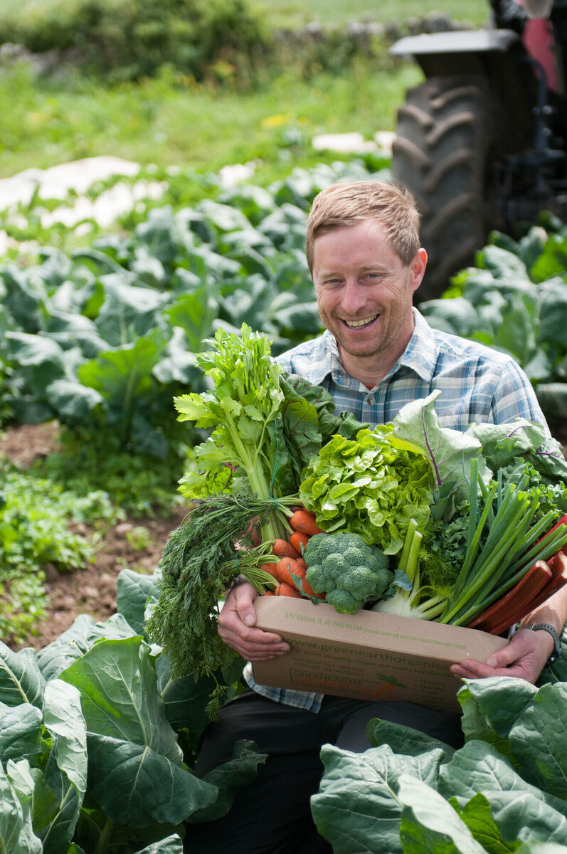 Growing is not an easy job — “ it’s bloody hard work” — and Keavey finds it frustrating that supermarkets use fresh food as loss leaders, devaluing the price of Irish-grown vegetables