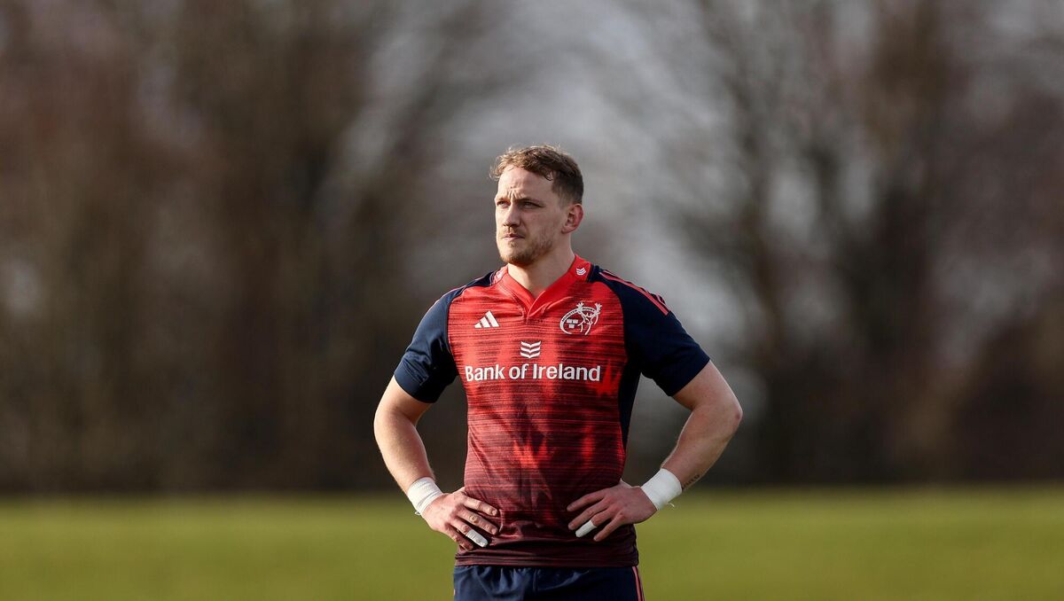 WELCOME RETURN: Munster full-back Mike Haley.. Pic: Ben Brady, Inpho WELCOME RETURN: Munster full-back Mike Haley.. Pic: Ben Brady, Inpho