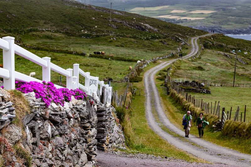 Picture: Richard Gordon Picture: Richard Gordon