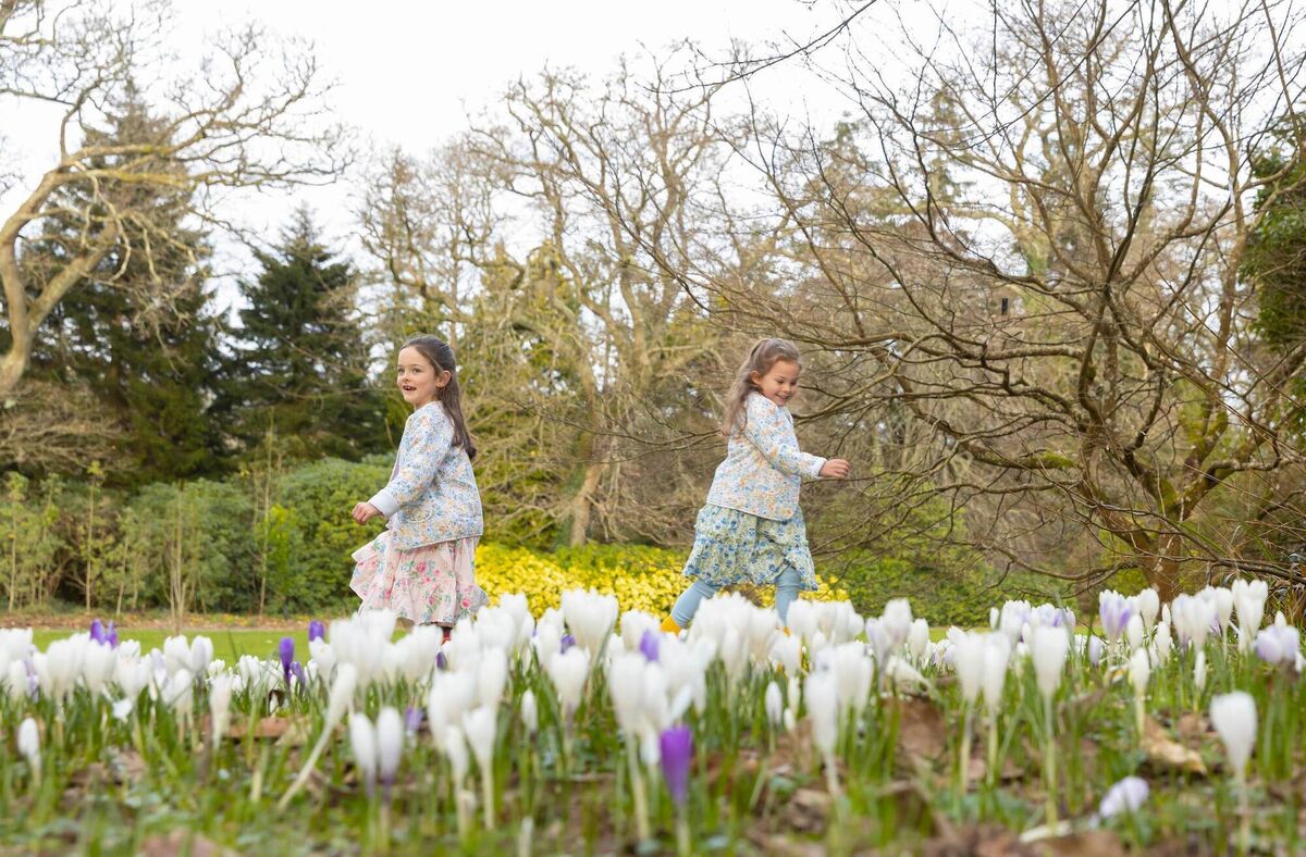 Twins Sophie and Chloe Drea at Mount Congreve Gardens, Waterford. Picture: Patrick Browne