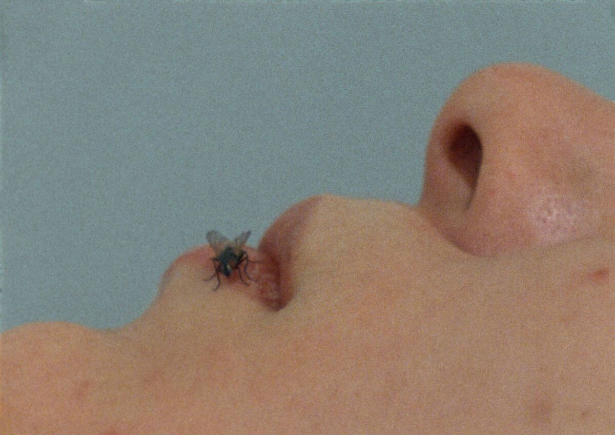 Yoko Ono, Fly, 1970