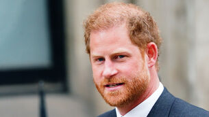 <p>The Duke of Sussex (PA)</p>