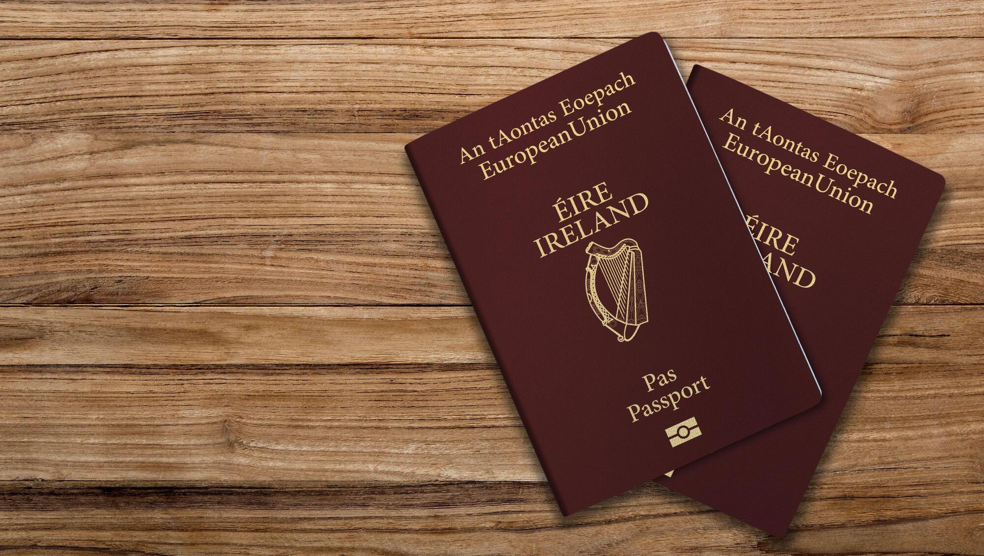 John Whelan: Restrictions on business visas are harming Irish firms
