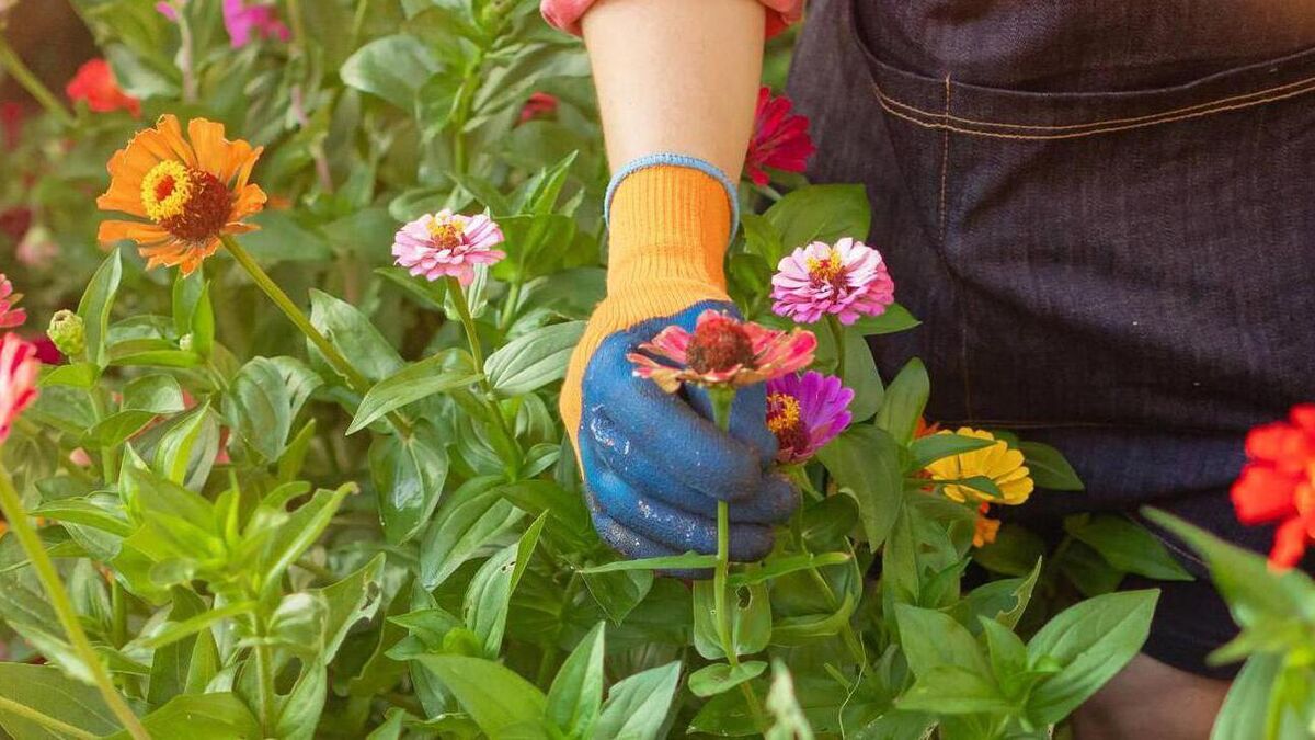 Peter Dowdall: Let's get down and dirty and hand-weed gardens - Vimarsana News