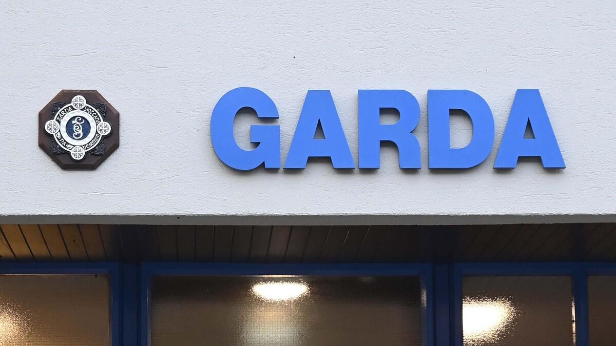 Garda reserve regulations to be revised in bid to boost recruitment - Vimarsana News