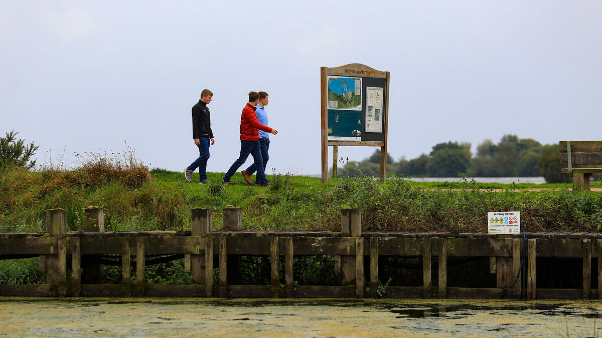 'Like the flip of a switch, it's gone': Has the ecosystem of Ireland's largest lake collapsed? - Vimarsana News