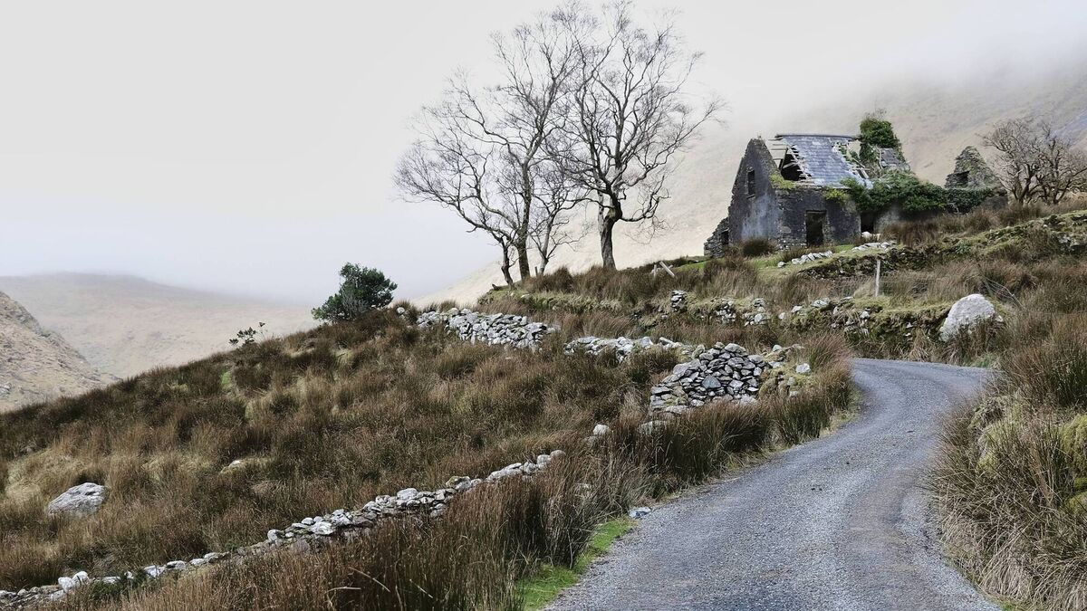 Black Valley only got electricity in 1977 — now it's being wired for superfast fibre broadband - Vimarsana News