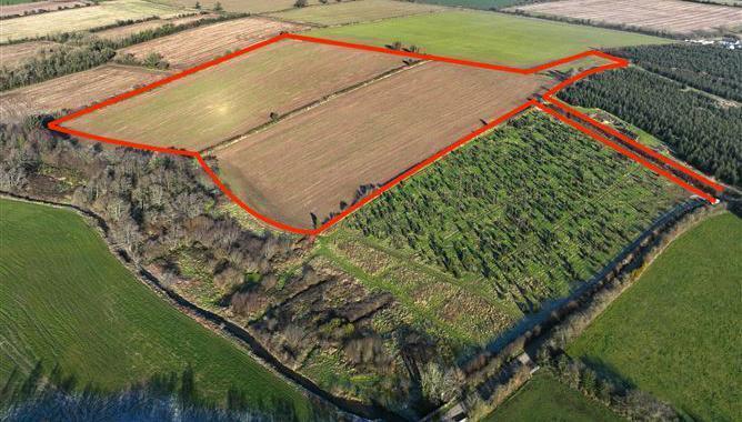 Aerial photo of the 20-acre farm for auction at Nash, Gusserane, New Ross.
