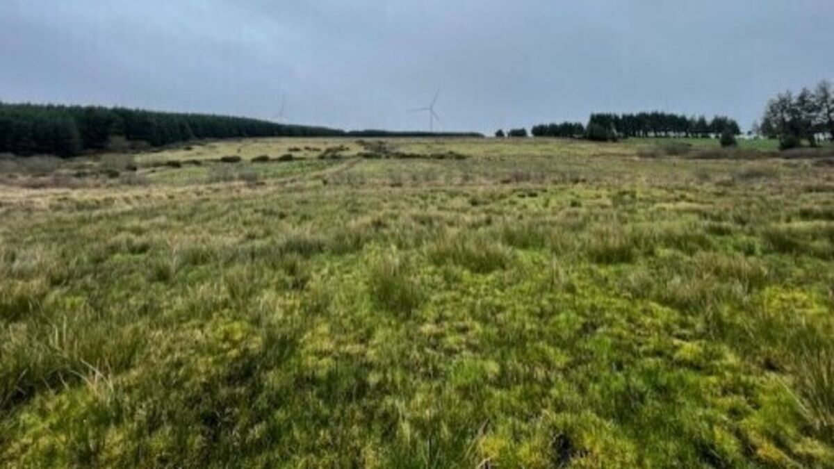 45-acre Kerry holding tempting value at €7,800/acre guide - Vimarsana News