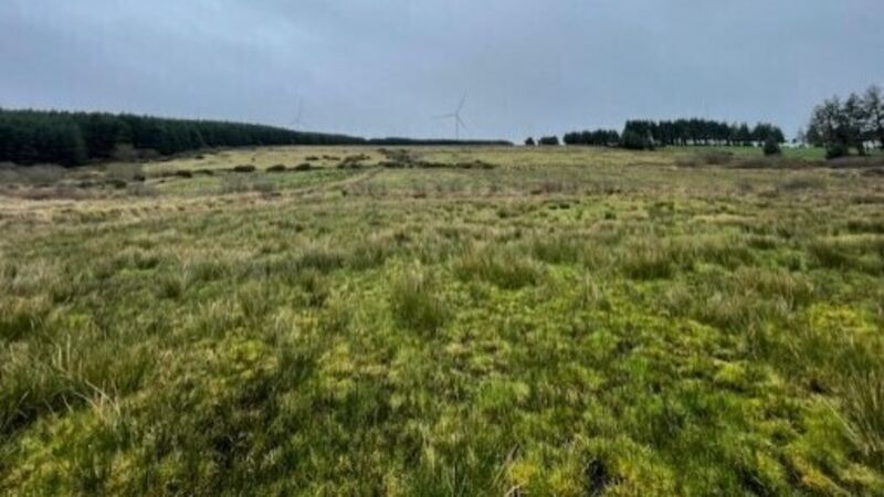 45-acre Kerry holding tempting value at €7,800/acre guide