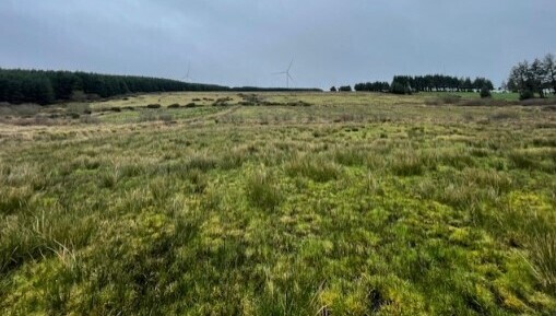 The property is in the townland of Knockeenahone, near Scartaglin — a village that is roughly equidistant (7km) from Kerry Airport in Farranfore and Castleisland.