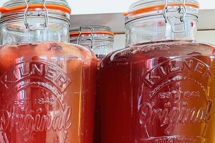 Penny’s Kombucha from the Ballymaloe Fermentation Shed