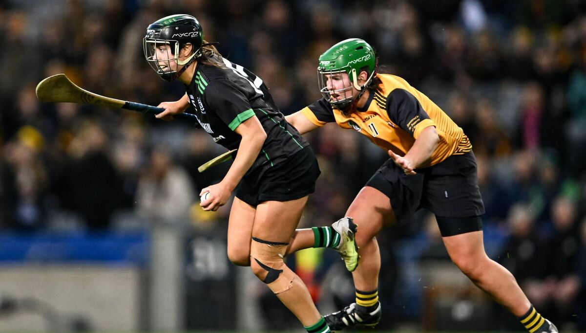 FINAL HEARTBREAK: Danielle O'Leary of Clanmaurice in action against Shauna Ennis of Na Fianna during the AIB Camogie All-Ireland Intermediate Club Championship final. Picture: Piaras Ó Mídheach/Sportsfile 