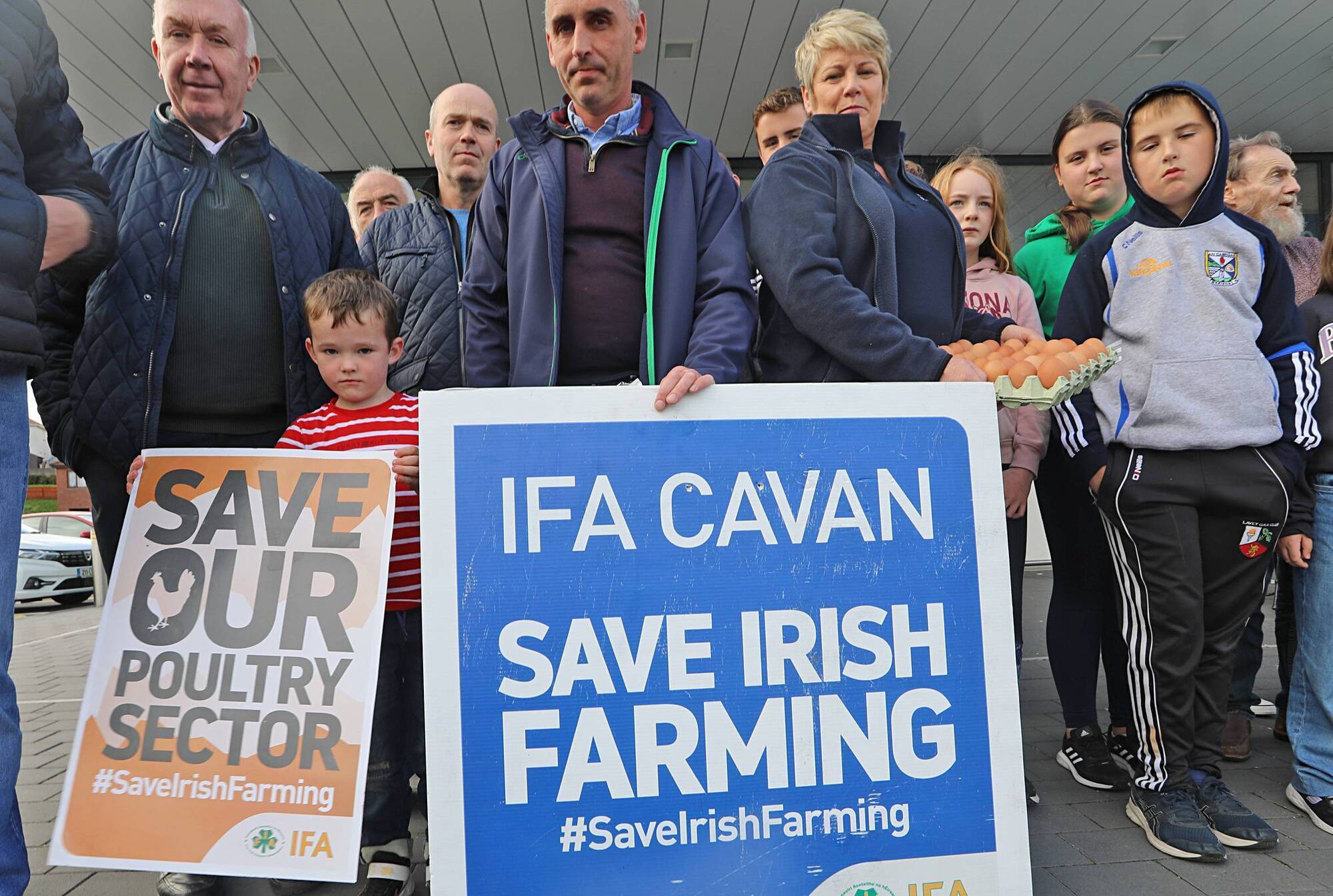 Producers question their future in 'volatile' egg industry