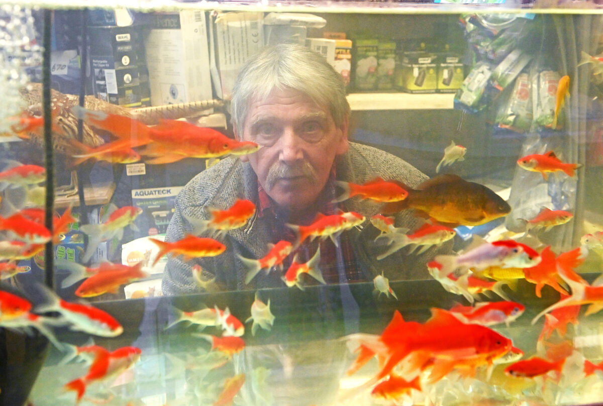 Eddie O'Flaherty with goldfish the Ideal pet shop on North Main Street, Cork. Picture; Eddie O'Hare