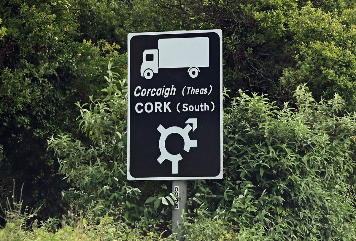 Picture Denis Minihane. Picture Denis Minihane.