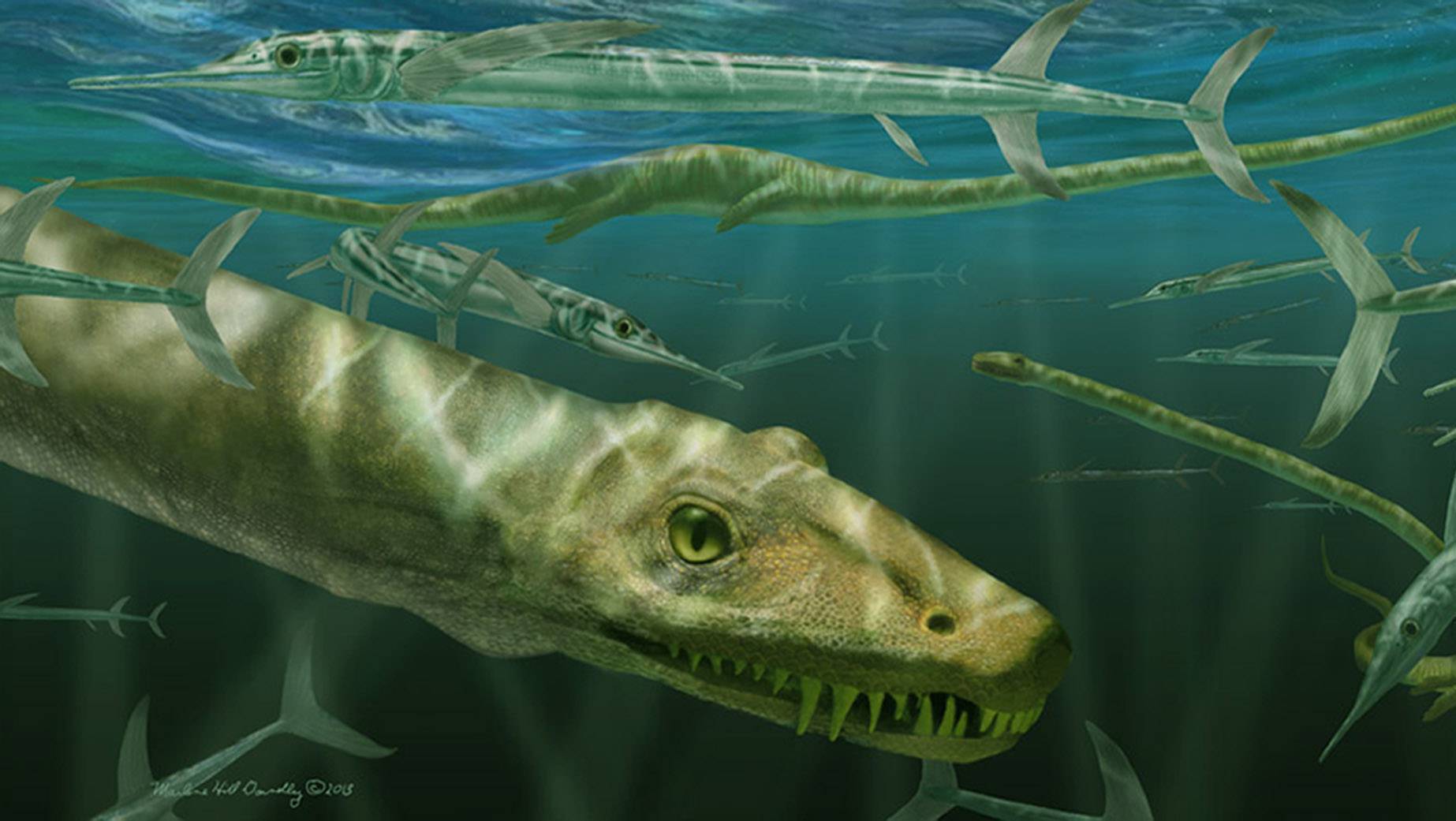 Palaeontologists unveil 240-million-year-old reptile likened to Chinese dragon