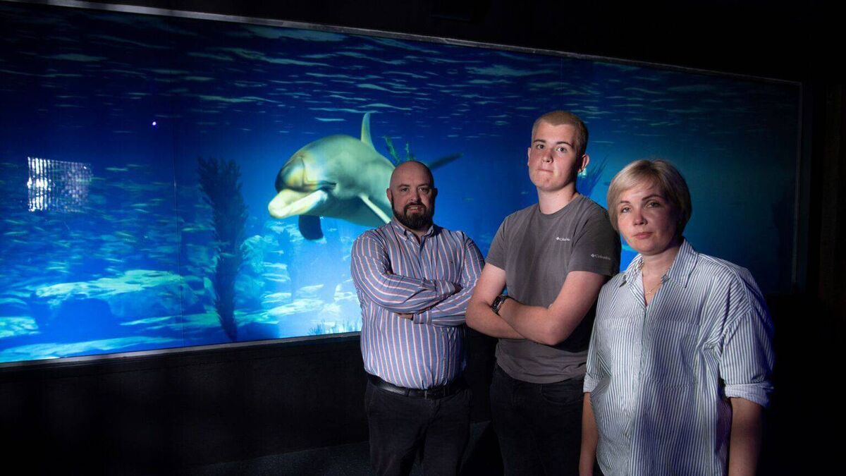 Digital legacy for Fungi the dolphin - Vimarsana News