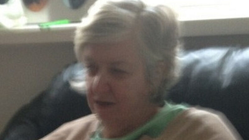 Gardaí search for woman in her 60s missing for three days Gardaí search for woman in her 60s missing for three days