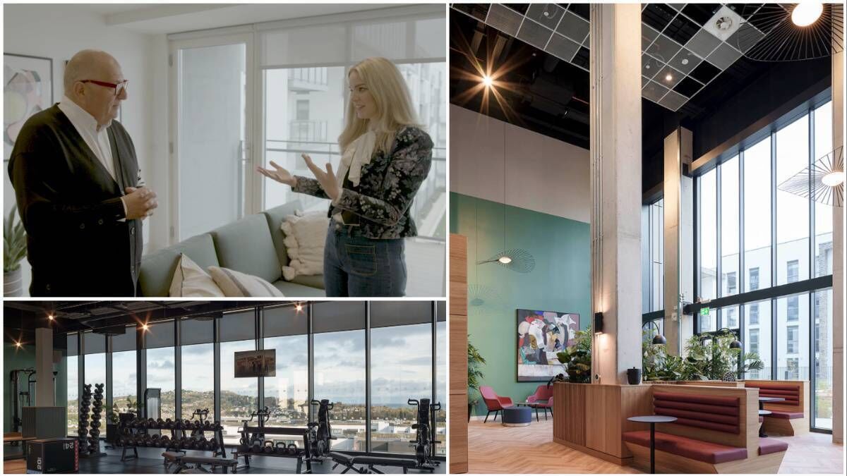 Hugh Wallace and Suzie McAdam reunite for home interior reveal - Vimarsana News
