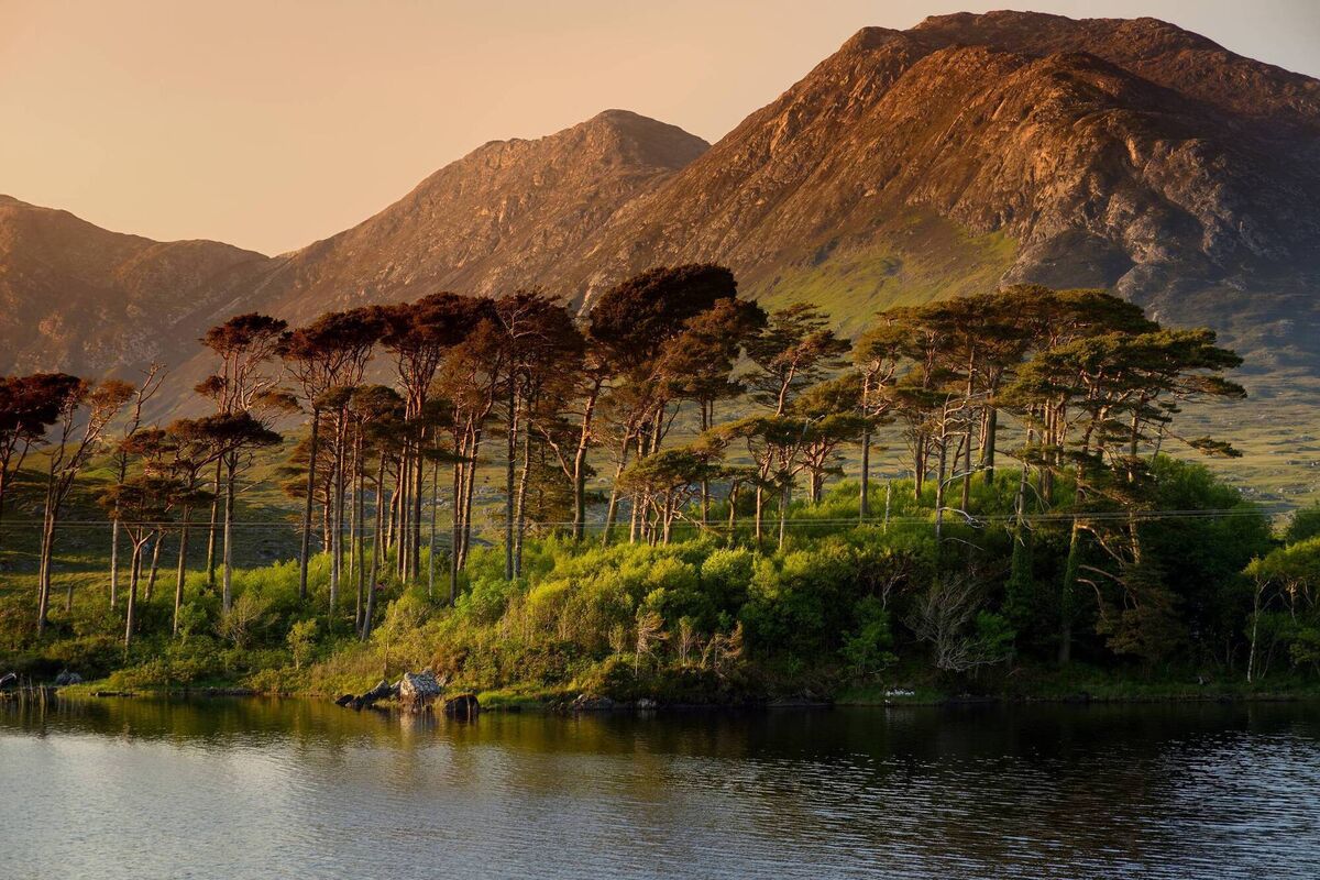 Pines Island, standing on a gorgeous background formed by the sharp peaks of a mountain range called Twelve Pins or Twelve Bens, Connemara, County Galway,
