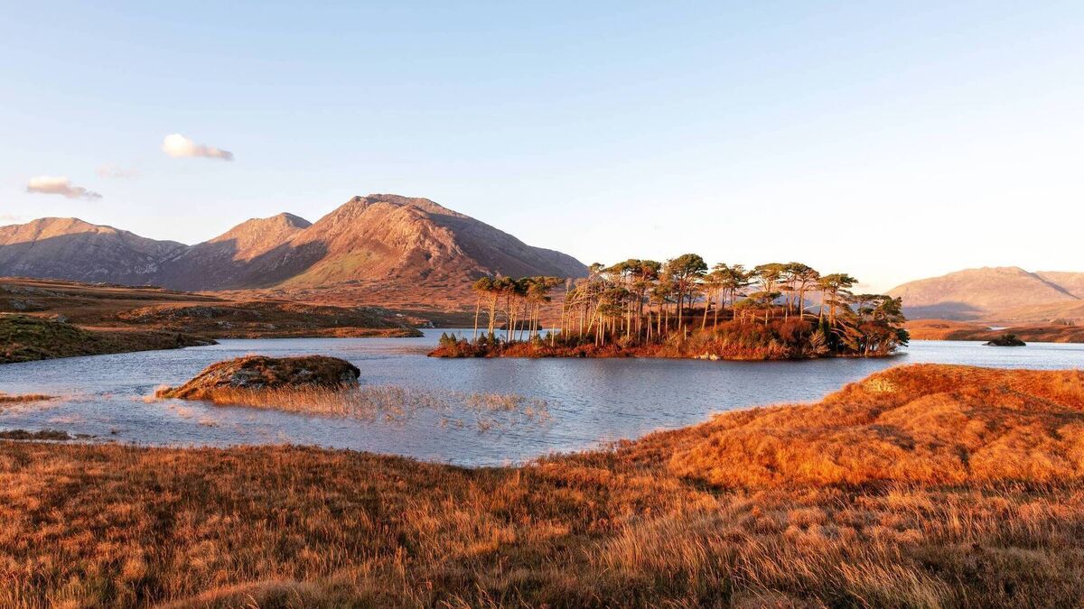 Looking for peace and serenity? Explore Connemara's winter wildness - Vimarsana News
