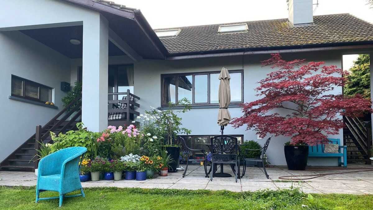 Artist's German-design €495,000 Carrigrohane home is a big draw - Vimarsana News