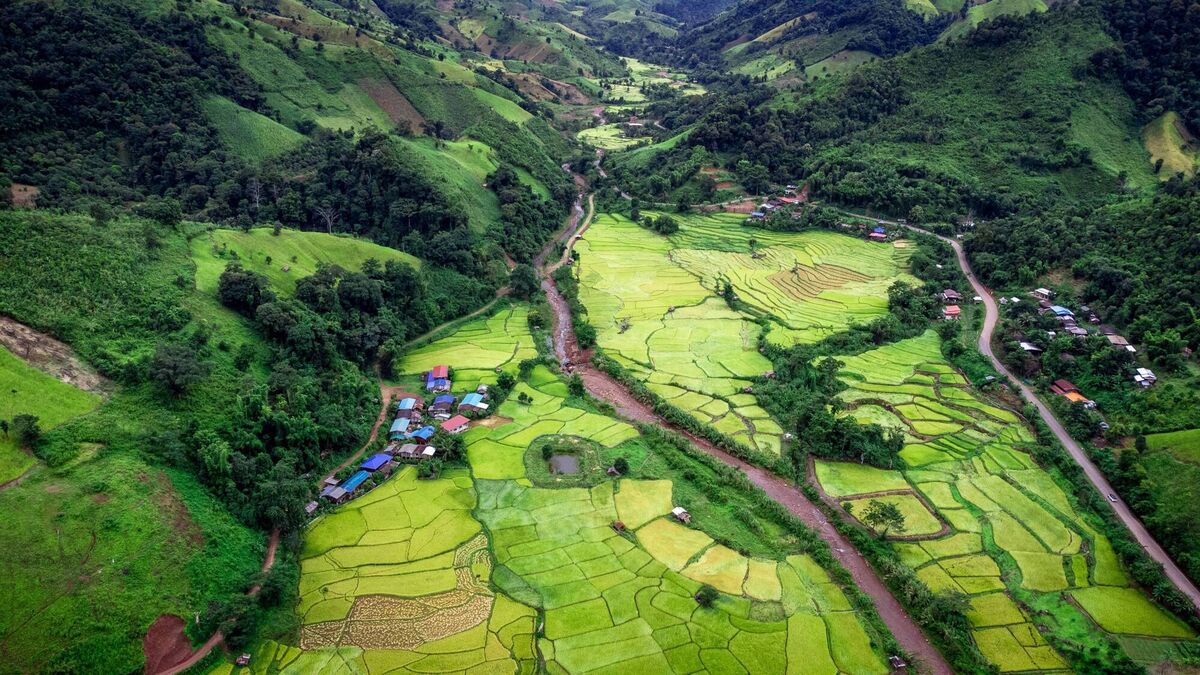 Terraced rice in the mountains, Nan Province, during rainy season in October with green field. Picture: Aerial view by Drone Thailand Terraced rice in the mountains, Nan Province, during rainy season in October with green field. Picture: Aerial view by Drone Thailand