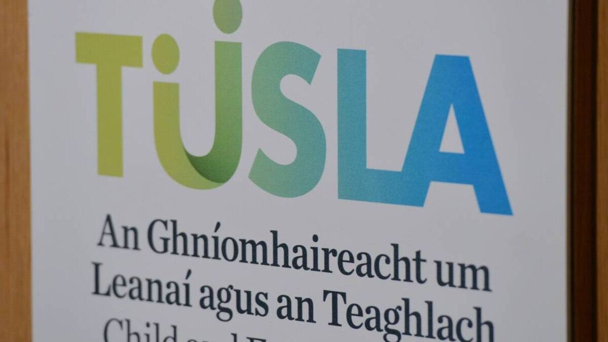 Tusla must accept whistleblower's claims about unvetted care workers - Vimarsana News
