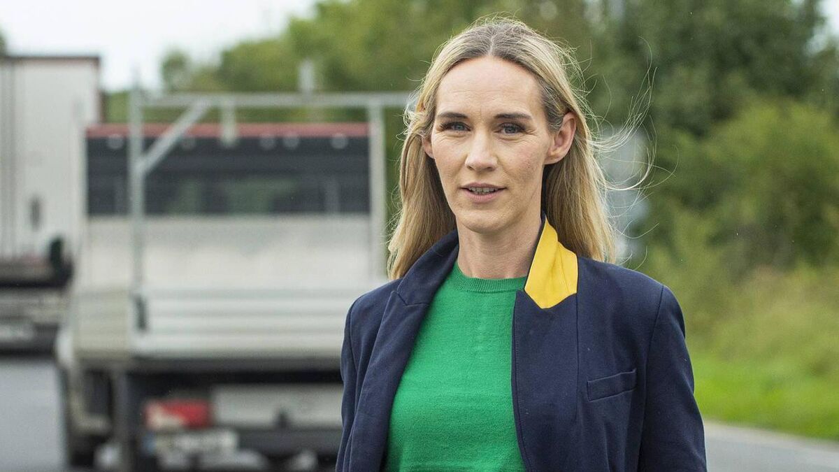 Limerick Chamber CEO Dee Ryan to seek Fianna Fáil nomination for Directly Elected Mayor - Vimarsana News