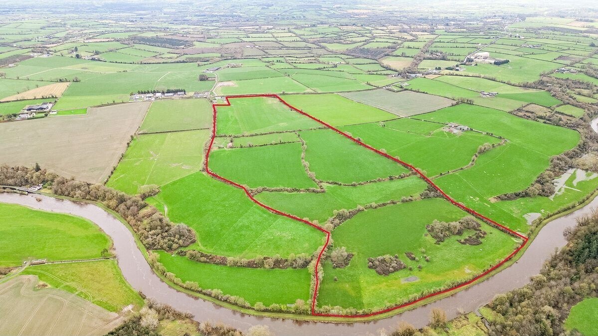 67-acre farm in the Barrow Valley guiding at €13.4k/acre