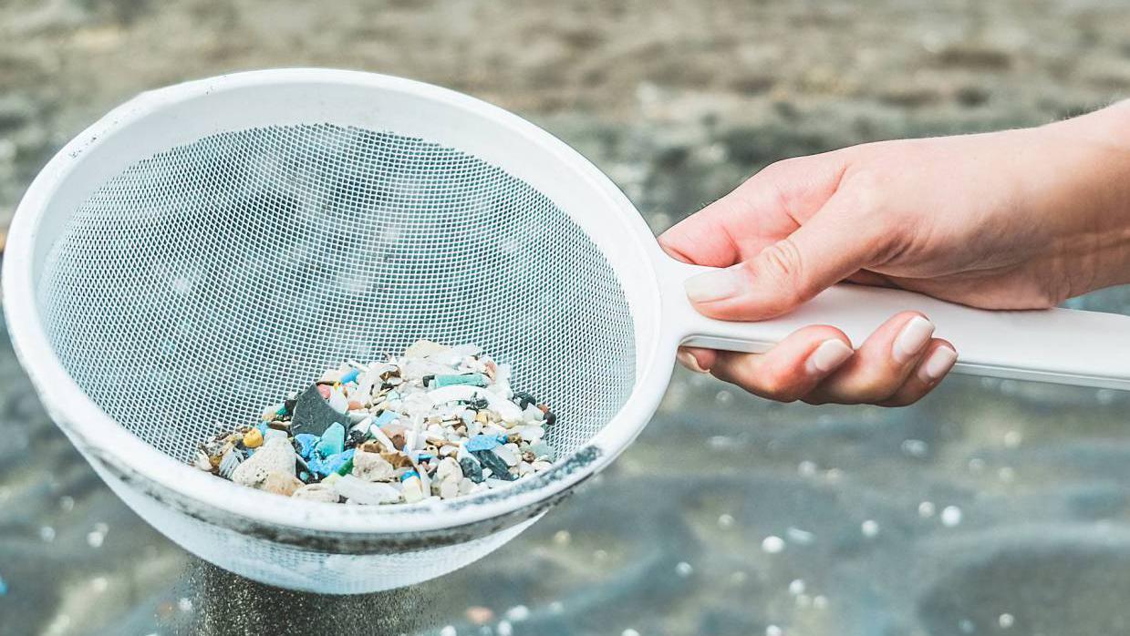 Microplastics found in every human placenta tested in study