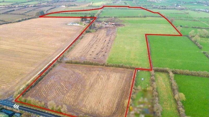 81-acre Waterford farm achieves over €24k/acre at auction