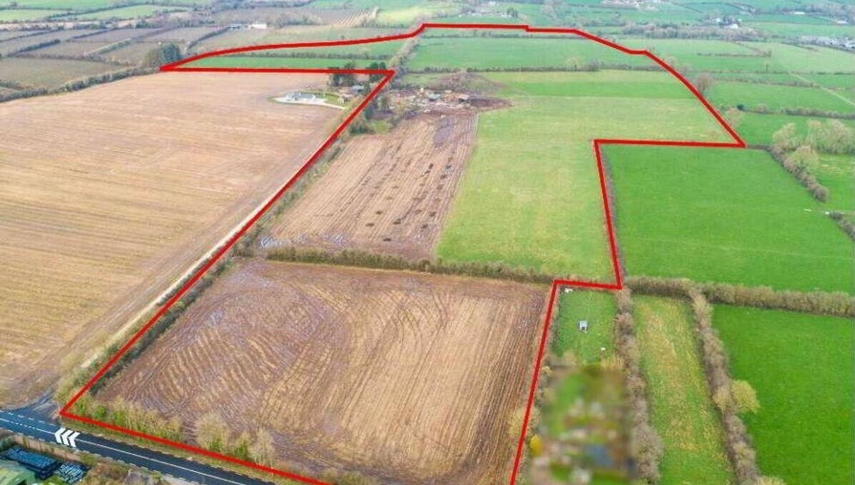 81-acre Waterford farm achieves over €24k/acre at auction
