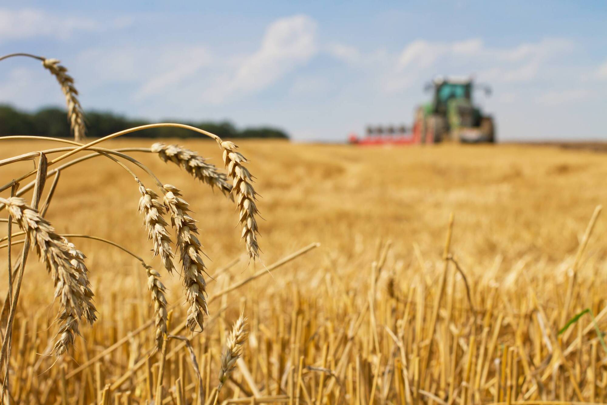Straw incorporation has been climate success but leaves straw in short supply
